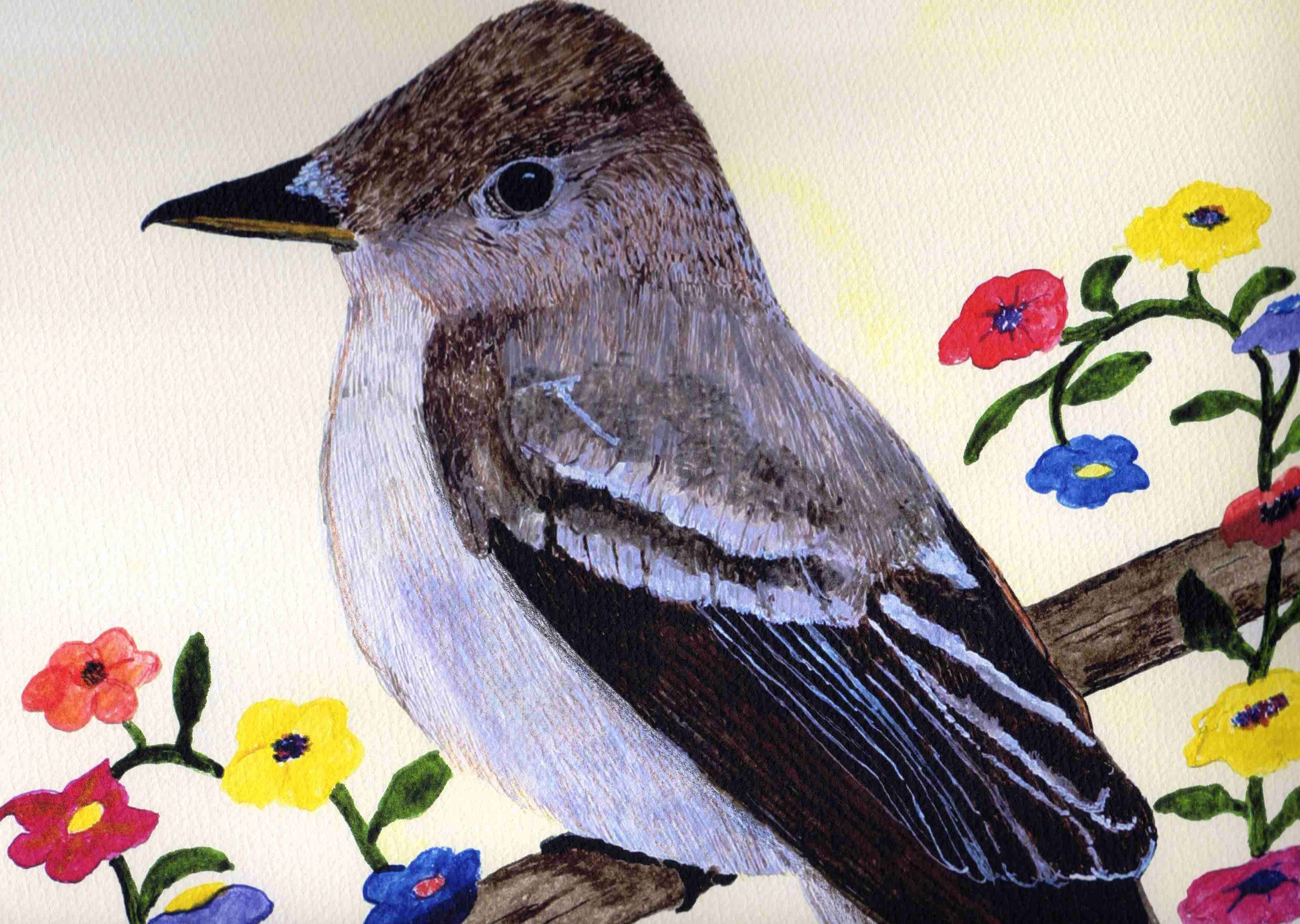 newpewee2.jpg